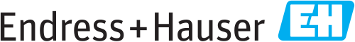 Endress+Hauser
